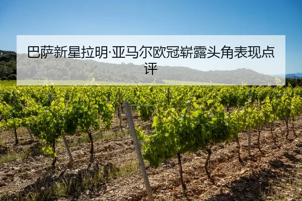 巴萨新星拉明·亚马尔欧冠崭露头角表现点评